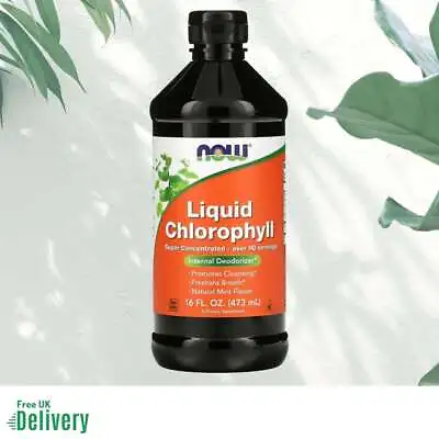 Now Foods Chlorophyll Liquid Natural Mint Flavour 473ml • £25.05