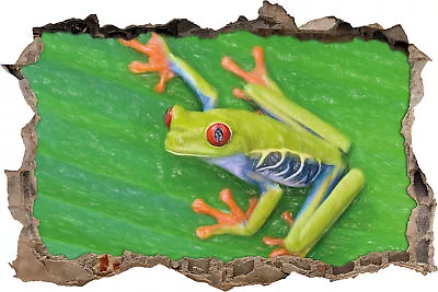 Small Green Frog On Leaf Art Crayon Effect - 3D Look Breakthrough Wall • £21.51