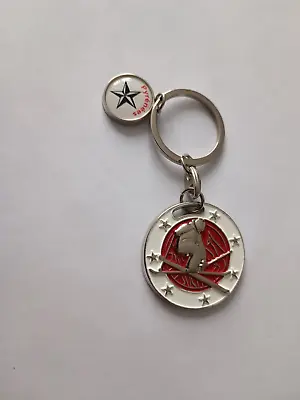 Vintage SKI Mountain Pyrenees Extreme Keychain Ski Keychain • $8.52