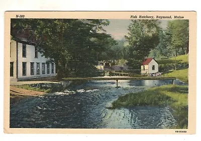 Raymond ME Fish Hatchery Vintage Postcard • $5.90