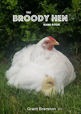 £17.99 • Buy Broody Hen Hand Book (Before Wyandotte Hatching Eggs, Read This!) Grant Brereton