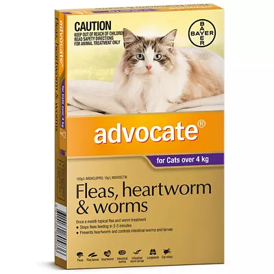 Advocate Cat 4kg & Over Purple Spot On Flea Wormer Treatment 1 Pack • $19.90