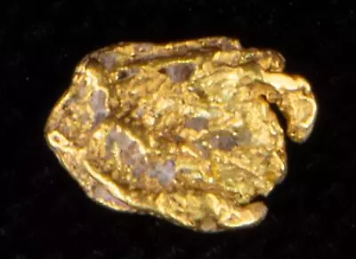 Genuine Calif. Alaska Natural Gold Nugget .22gr 5.56mm X 3.65mm Size • $28.12