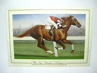 Vintage 1990s Phar Lap Post Card 'Champion Of Champions' P Barlow Artist • $12.90