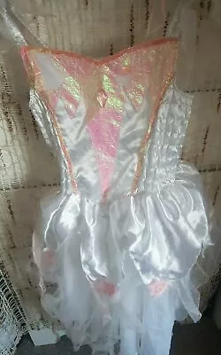 Ladybird Dress Up Princesses Fancy Dress Costume Age 5-8 Years   • £3.99
