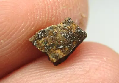 NWA 11000 Official Meteorite - H4-S3 Chondrite - G669-0098 - COA - Part Slice • $0.99