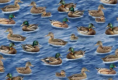 Timeless Treasures Lakeside Cabin Mallard Ducks Cotton Quilt  Fabric By The Yard • $16.95