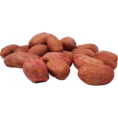 Wakefield Virginia Peanut Seeds - Grow Your Own Peanuts! Approx. 100 Seeds • $17.99