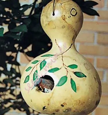 $2.39 • Buy Gourds, Giant Birdhouse Large Ornamental, Organic Seeds, Non Gmo Usa Seller