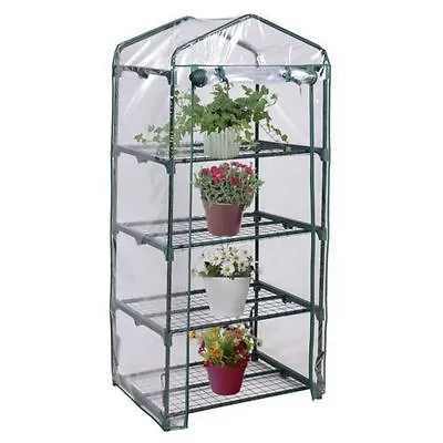 Greenhouse Cold Frame 4 Tier With Shelving & Reinforced Cover  • £19.95