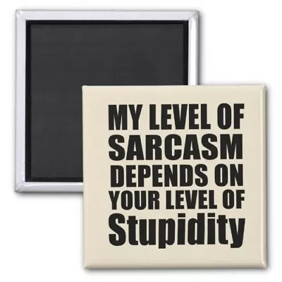 Square Magnet Funny Sarcastic Sayings Adult Humor Size 2 In Print Collectable • £19.28