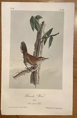 John James Audubon BEWICKS WREN Lith. Printed & Col. By J.T. Bowen 1839 • $95