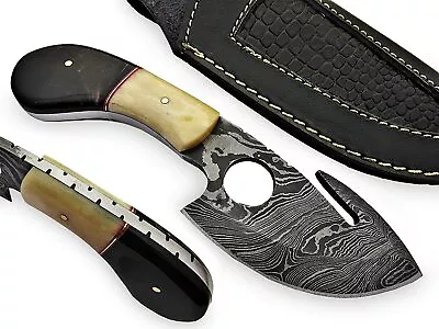 Mameluke Hunting Skinning Knife Damascus Steel Blade Bone & Horn Hand AT-1811 • $36.50