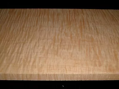 7/8 X10-1/2 X39  M2404-379 Curly Tiger  Maple Lumber Wood LUTHIER FIGURE • $75