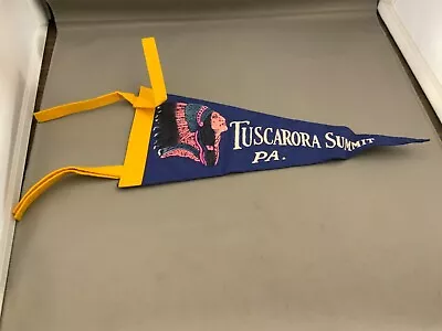 Vintage Tuscarora Summit Pa Pennsylvania Souvenir Pennant • $2