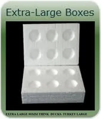 40 X Extra Large Polystyrene Egg Boxes Hatching/incubation  Large Ducks Turkey • £52.50