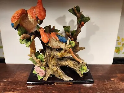 POLY COLLECTION  Macaw Birds On Tree Branch-Statue Figurine On Wood Stand 9 3/4  • $32.99