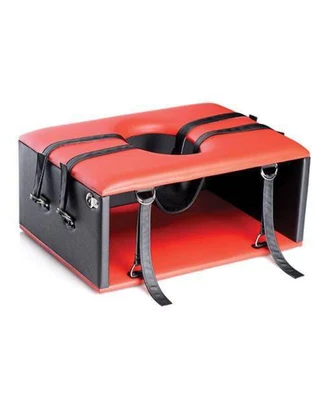 $433.95 • Buy Master Series Queening Chair