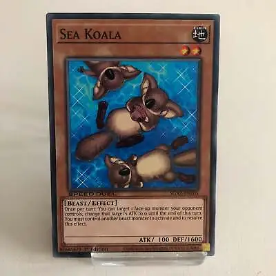 SGX2-ENE05 Sea Koala :: Common 1st Edition Mint YuGiOh Card • £1.50