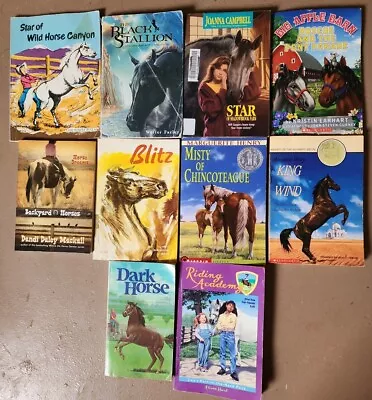  Lot Of 10 HORSE Novels Marguerite Henry Misty King Blitz Dark Horse+ • $19.99