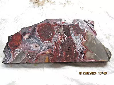 Mexican Crazy Lace Red Slab Rough Agate Cabbing Lapidary Display #102 • $14.95