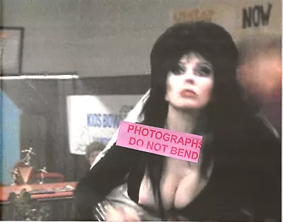 8x10 Photo Cassandra Peterson  Elvira Mistress OfThe Dark  Movie Star 1988 #2 • $14.45