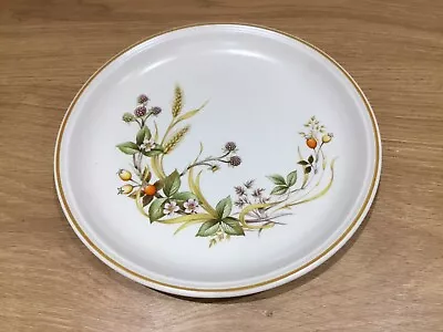 Marks & Spencer - Harvest - Vintage Ceramic  Dinner Plate - 10.5 Inches Across • £4.50