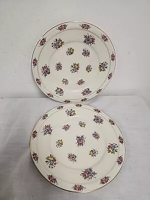 Haas Czjzek H&C Coronado Parisian Chintz SALAD Plates Set Of 2 Czech Porcelain • $22.95