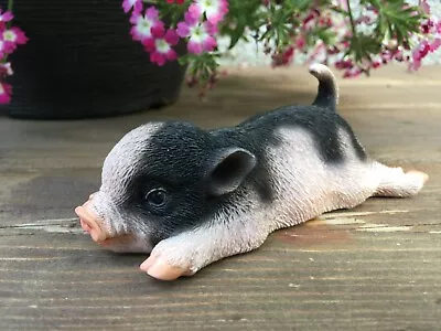 Baby Pig Lying Down Ornament Resin Mini Figurine Plus Magnet Statue Cute Piglet • $24.99