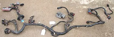 1994-1995 Ford Mustang GT 5.0L COMPUTER ECU Mass Air Engine Wiring Harness • $327