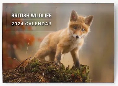 2024 British Wildlife Calendar Wall Monthly Planner Family Home Organiser • £4.99