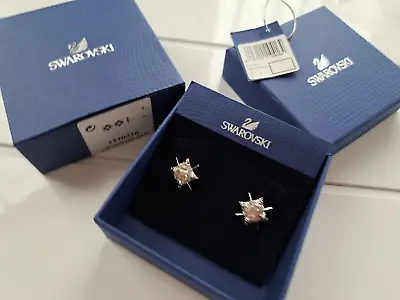 £25 • Buy Genuine New Swarovski Clear Crystal Silver Plated Star Stud  Earrings,1110416