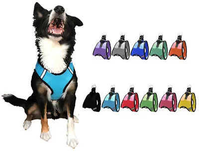 Nylon Mesh Easy Step-In Quick-Release Padded Soft Puppy Pet Dog Harness • $7.99