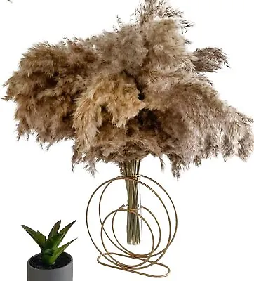 Pampas Grass 20-Piece Natural Dried Flowers For Vase Feather Bouquet Home Decor • £9.99