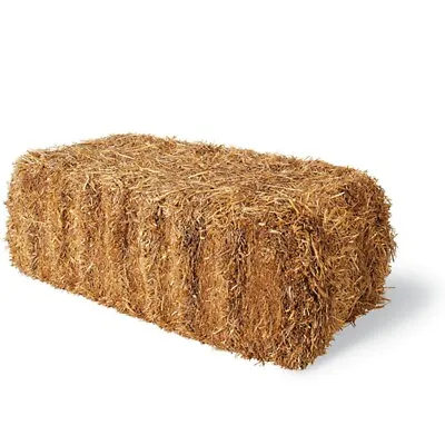 2 GAL Straw Hay Halloween Bales Bale Fall Autumn Mini Decor Set For Thanksgiving • $21.99