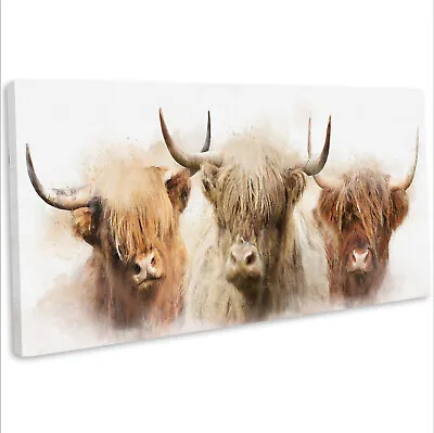 £29.99 • Buy 3 Highland Cows Canvas Wall Art Print Framed Watercolour Style Picture