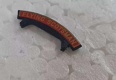 £17.99 • Buy Hornby Live Steam A3 Flying Scotsman Double Tender Name Plate - Body Part
