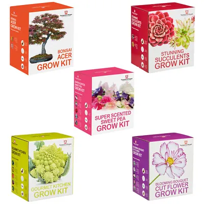 T&M Seed Grow Kit 16 Options Grow Your Own Plants Veg Fruit From Seeds Easy Kits • £15.99
