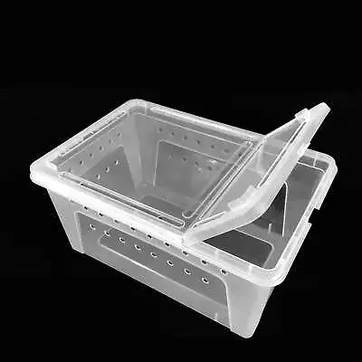 Bug And Isopod Breeder Box Clear Plastic  Small Reptile Enclosure Carrier NEW • $0.99