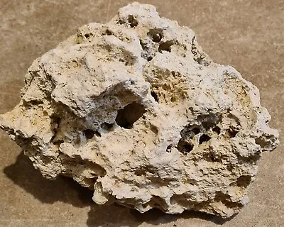 Marine Fossilised Coral Rock -Saltwater/Hardwater Fish Tank - LARGE! 6.4kg - NEW • £45