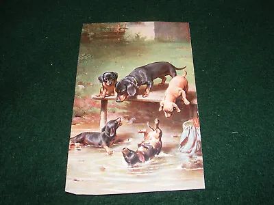 Vintage Postcard Art Dachshund Dog Hound Puppies By Ernest Nister • £2.25