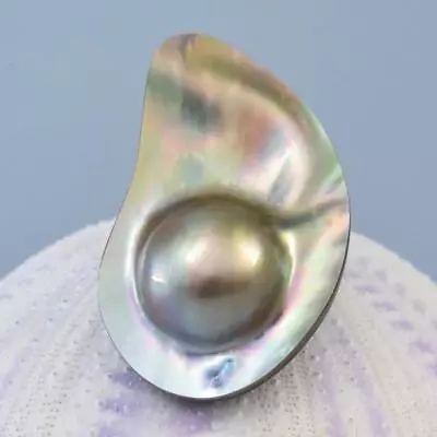 Mabe Blister Pearl In Shell Extreme Colorful Rainbow Iridescent 7.27 G Cabochon • $29