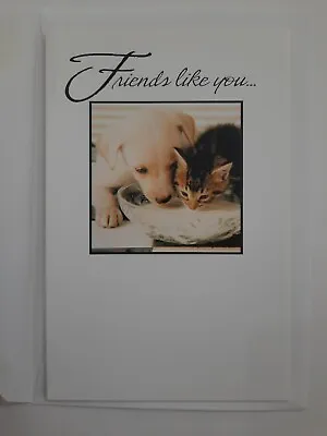 Vintage Greeting Card With Envelope Puppy Kitten Friends Like You Are Precious • $9.72