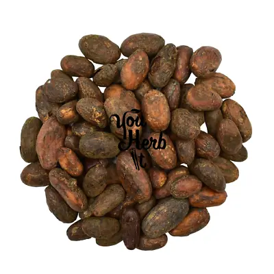 Organic Raw Criollo Whole Cacao Beans 25g-200g - Theobroma Cacao • £19.20