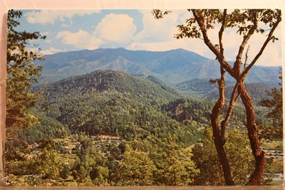 $0.50 • Buy Great Smoky Mountains National Park Mt LeConte Postcard Old Vintage Card View PC