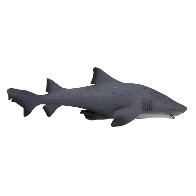 £9.95 • Buy Mojo SAND TIGER SHARK Plastic Animal Sea Toy Figure Model Figurine Fish Marine