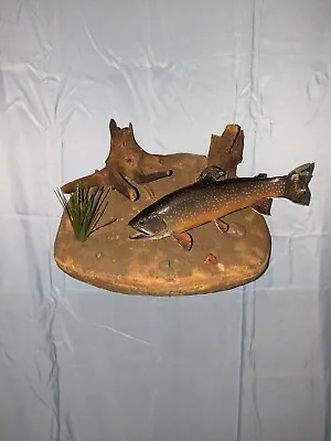 Vintage Brown Trout Taxidermy Mount Fish Real Skin Underwater Scene  • $219.99