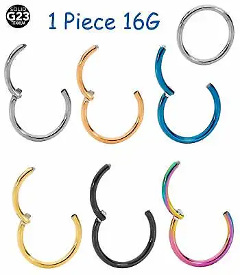 1 Piece G23 Titanium 16G Hinged Hoop Sleeper Ear Nose Lip Segment Earring Ring • $9.49