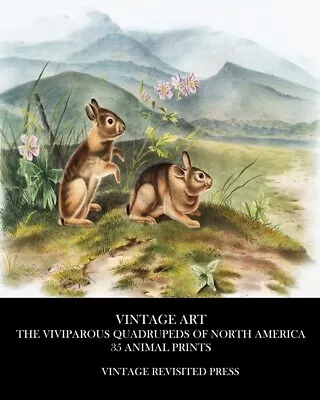 Vintage Art: The Viviparous Quadrupeds Of North America 35 Animal Prints • $43.67
