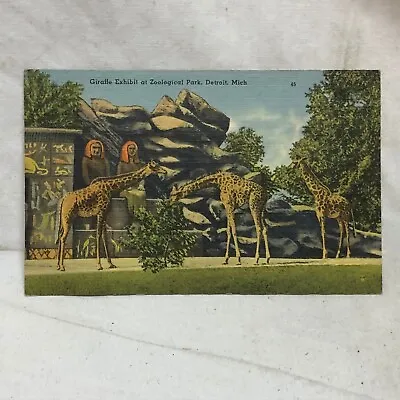 $15 • Buy Vintage Giraffe Exhibit Zoo Postcard Detroit Michigan Not Used